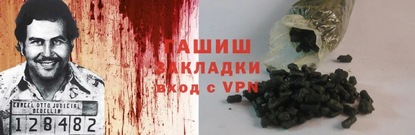 прущие грибы Балахна