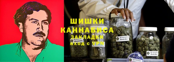ГАЛЛЮЦИНОГЕННЫЕ ГРИБЫ Балабаново