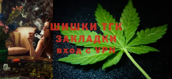 прущие грибы Балахна