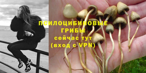 кристаллы Белокуриха